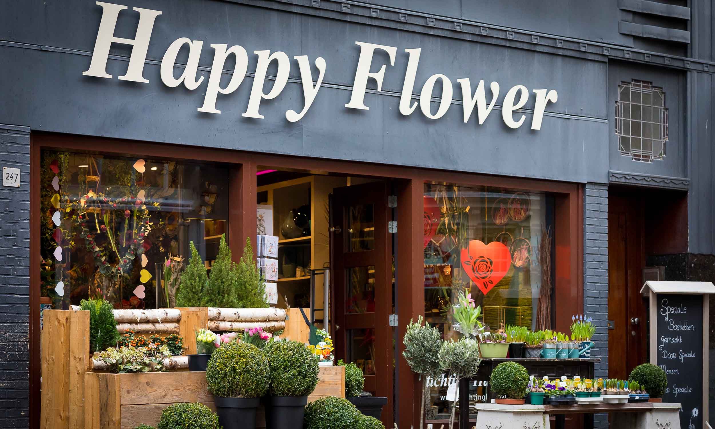 Stichting Happy Flower Large Header
