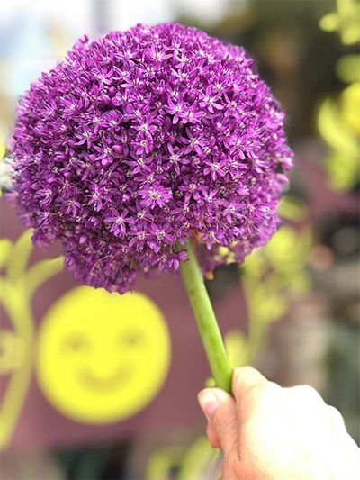 Stichting Happy Flower Boeket paarse bloem