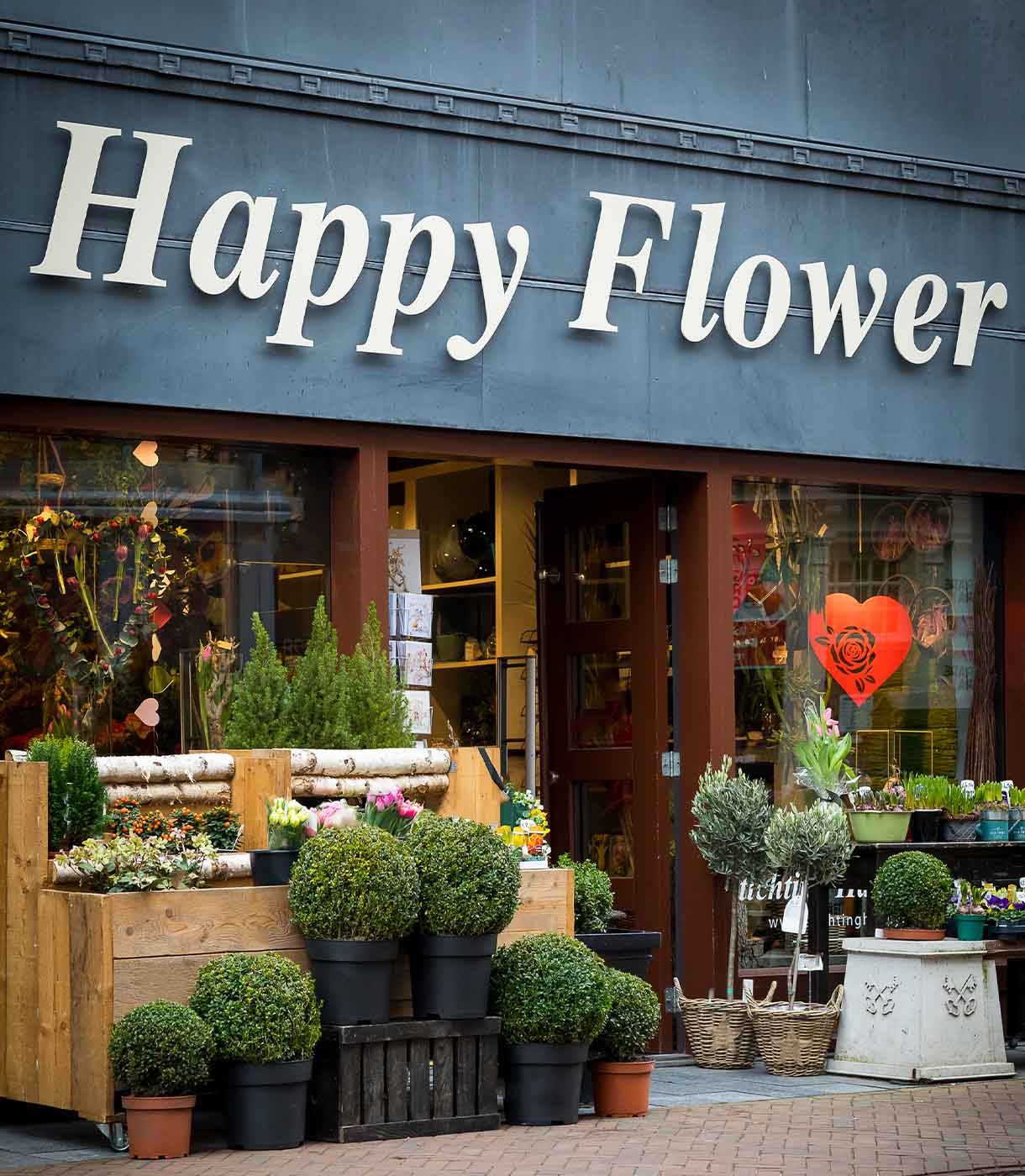 Stichting Happy Flower Large Header